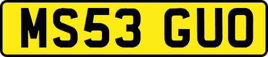 MS53GUO