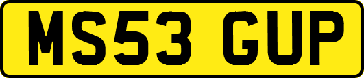 MS53GUP