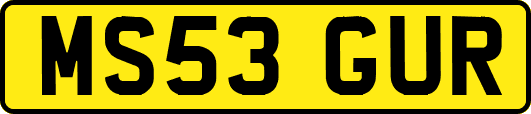 MS53GUR