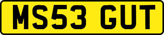 MS53GUT