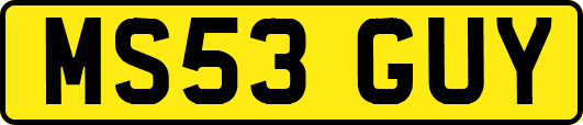 MS53GUY