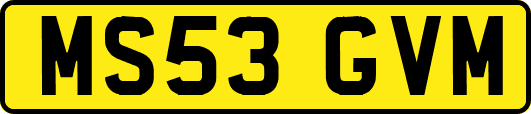 MS53GVM