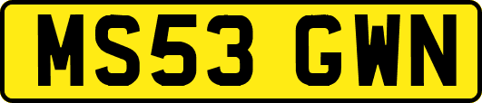 MS53GWN