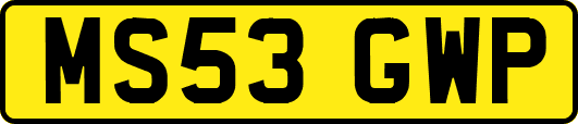 MS53GWP