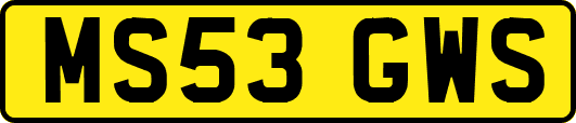 MS53GWS
