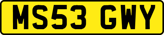 MS53GWY
