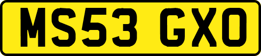 MS53GXO