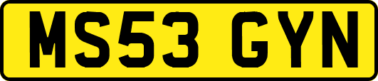 MS53GYN
