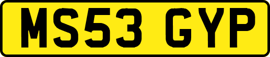 MS53GYP