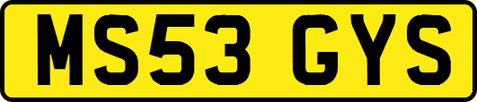 MS53GYS