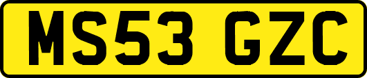MS53GZC