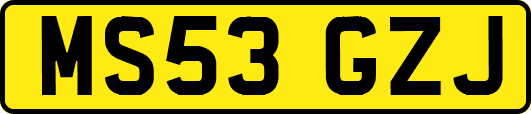 MS53GZJ