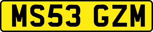 MS53GZM