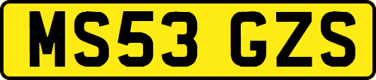 MS53GZS