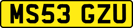 MS53GZU