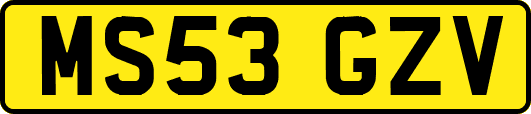 MS53GZV