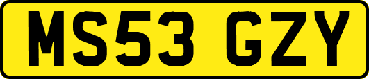 MS53GZY