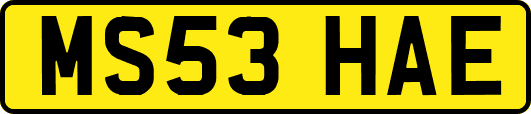 MS53HAE