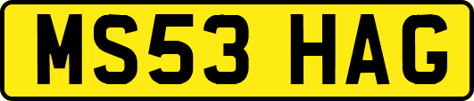 MS53HAG