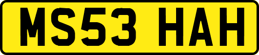 MS53HAH