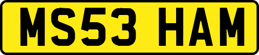 MS53HAM