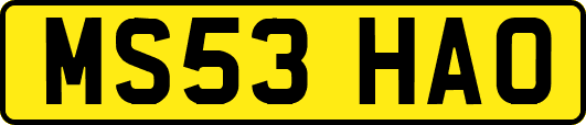 MS53HAO