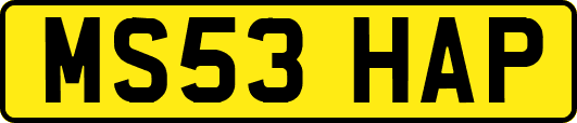 MS53HAP