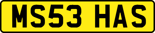MS53HAS