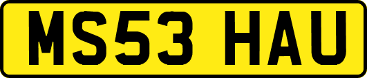 MS53HAU