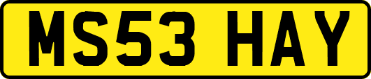 MS53HAY