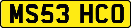 MS53HCO
