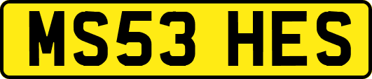 MS53HES