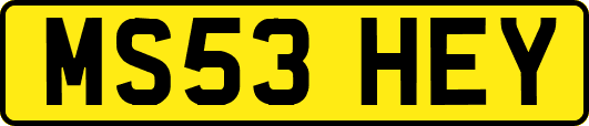 MS53HEY