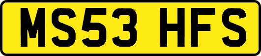 MS53HFS