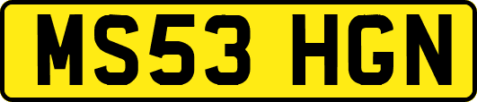 MS53HGN