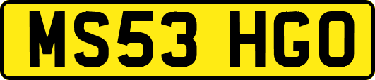 MS53HGO