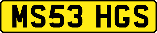 MS53HGS