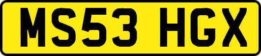 MS53HGX