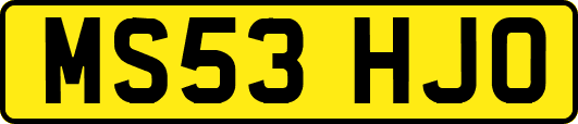 MS53HJO