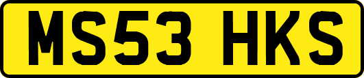 MS53HKS