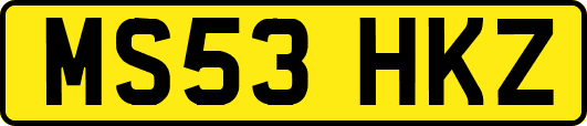 MS53HKZ