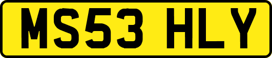 MS53HLY