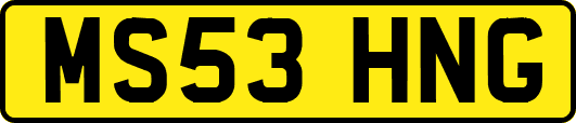 MS53HNG