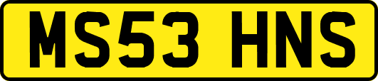MS53HNS