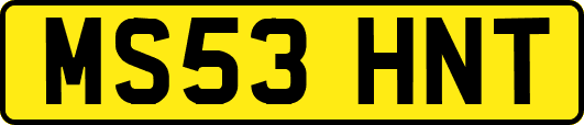 MS53HNT