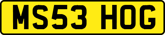 MS53HOG