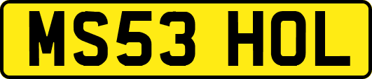 MS53HOL