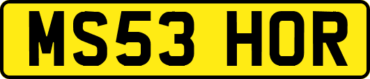 MS53HOR