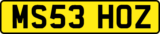 MS53HOZ