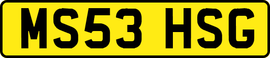 MS53HSG